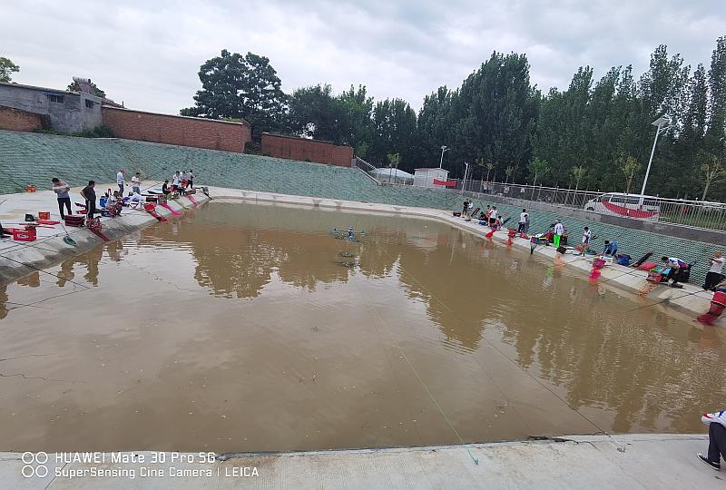 鱼情介绍图片