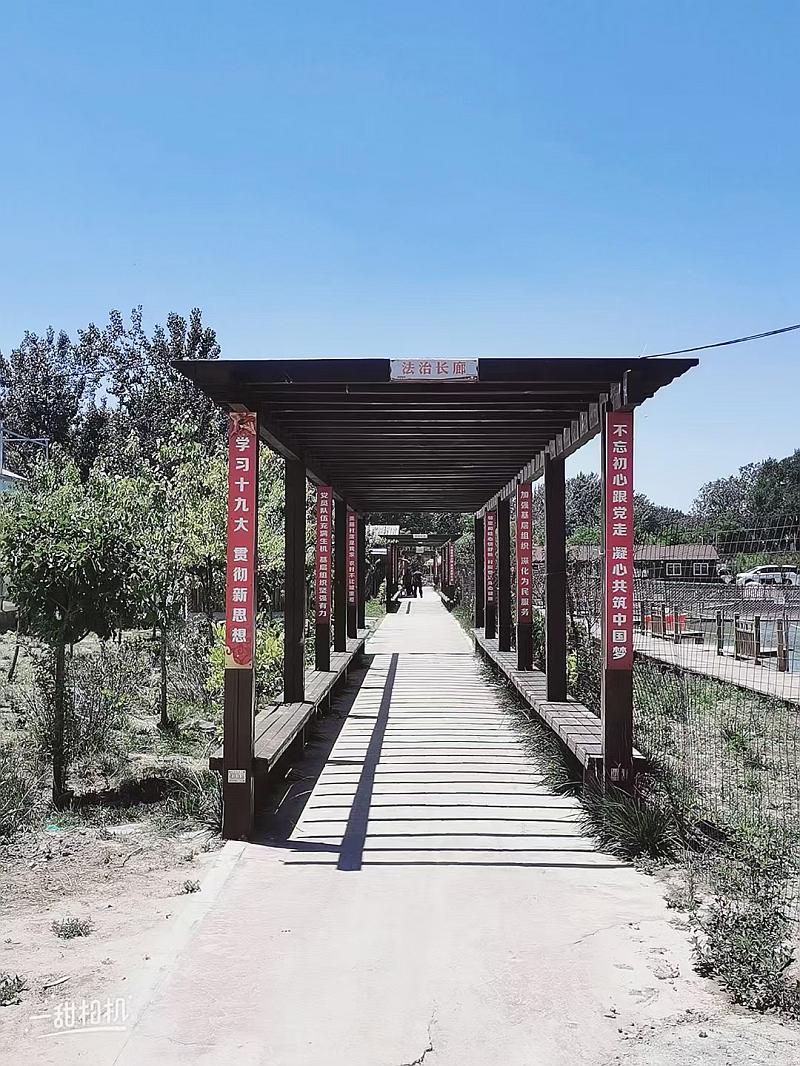鱼情介绍图片