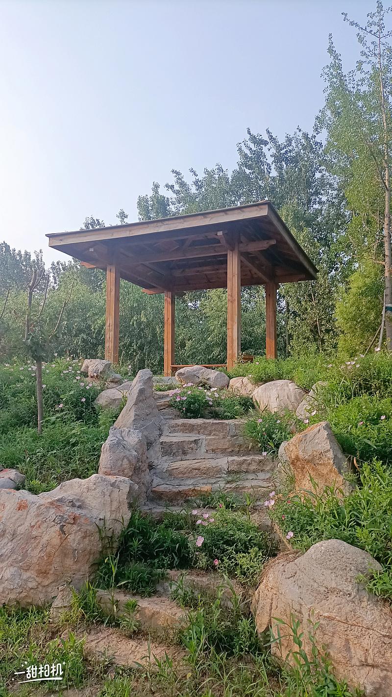 鱼情介绍图片