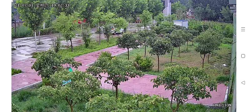 鱼情介绍图片