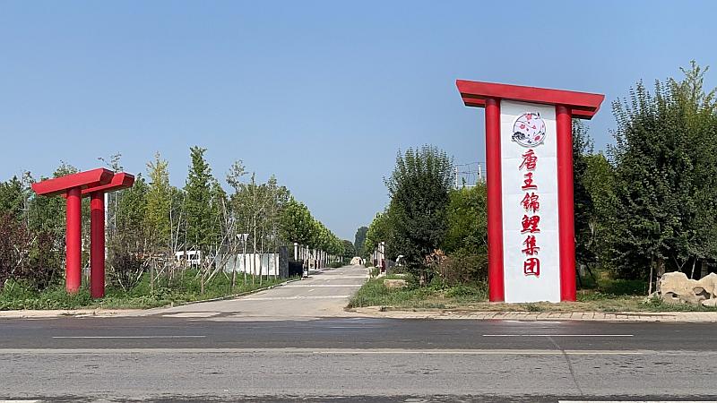 鱼情介绍图片
