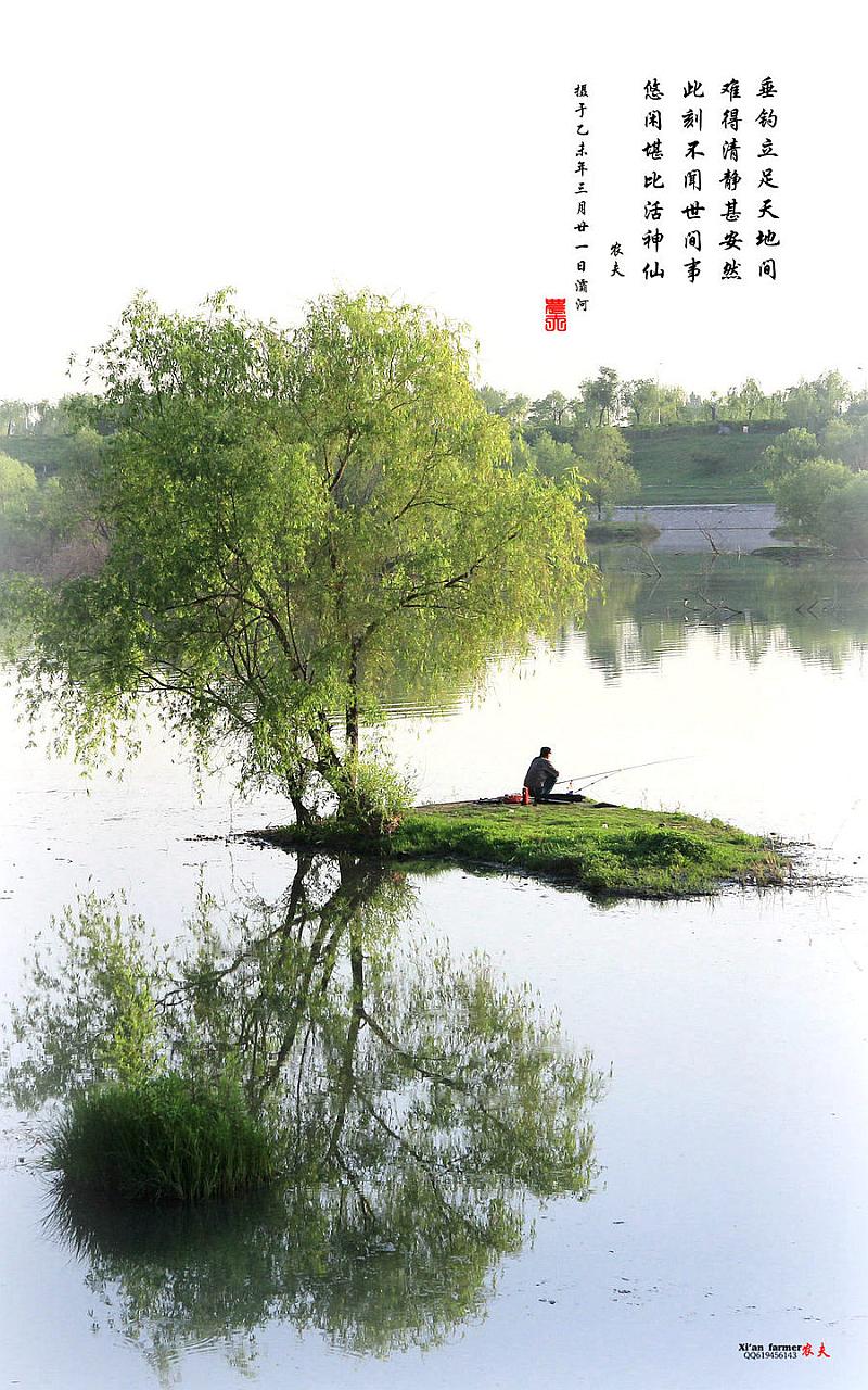 鱼情介绍图片
