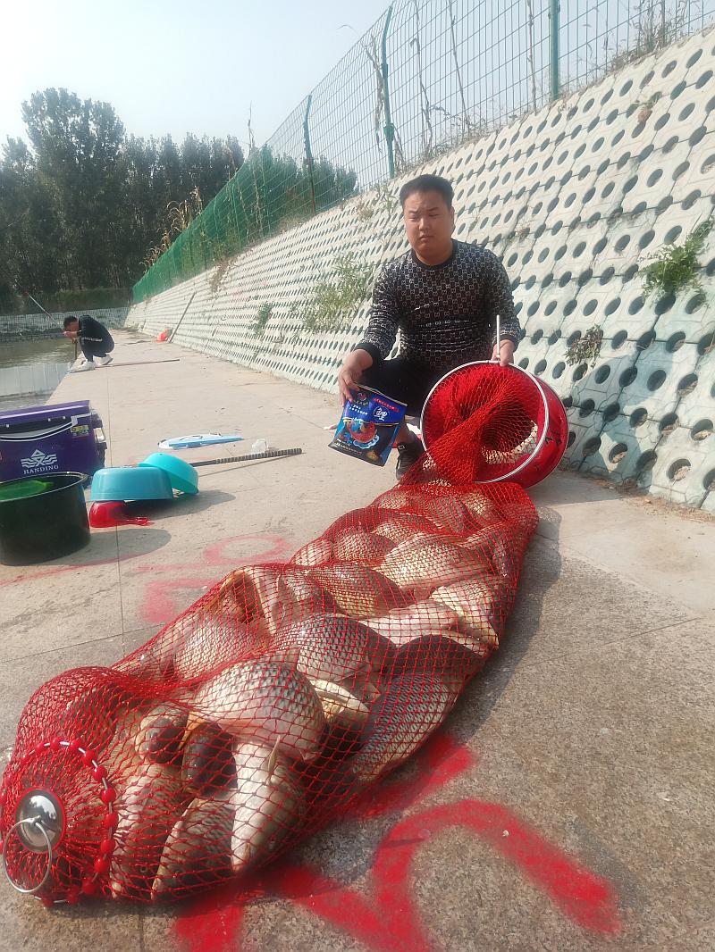 鱼情介绍图片