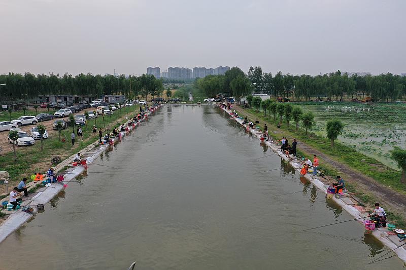鱼情介绍图片