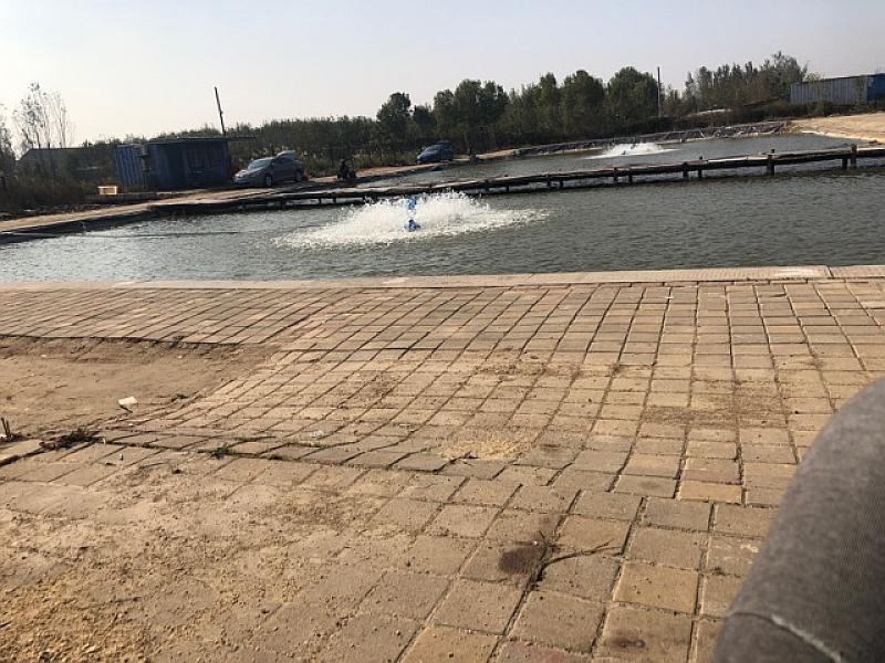鱼情介绍图片