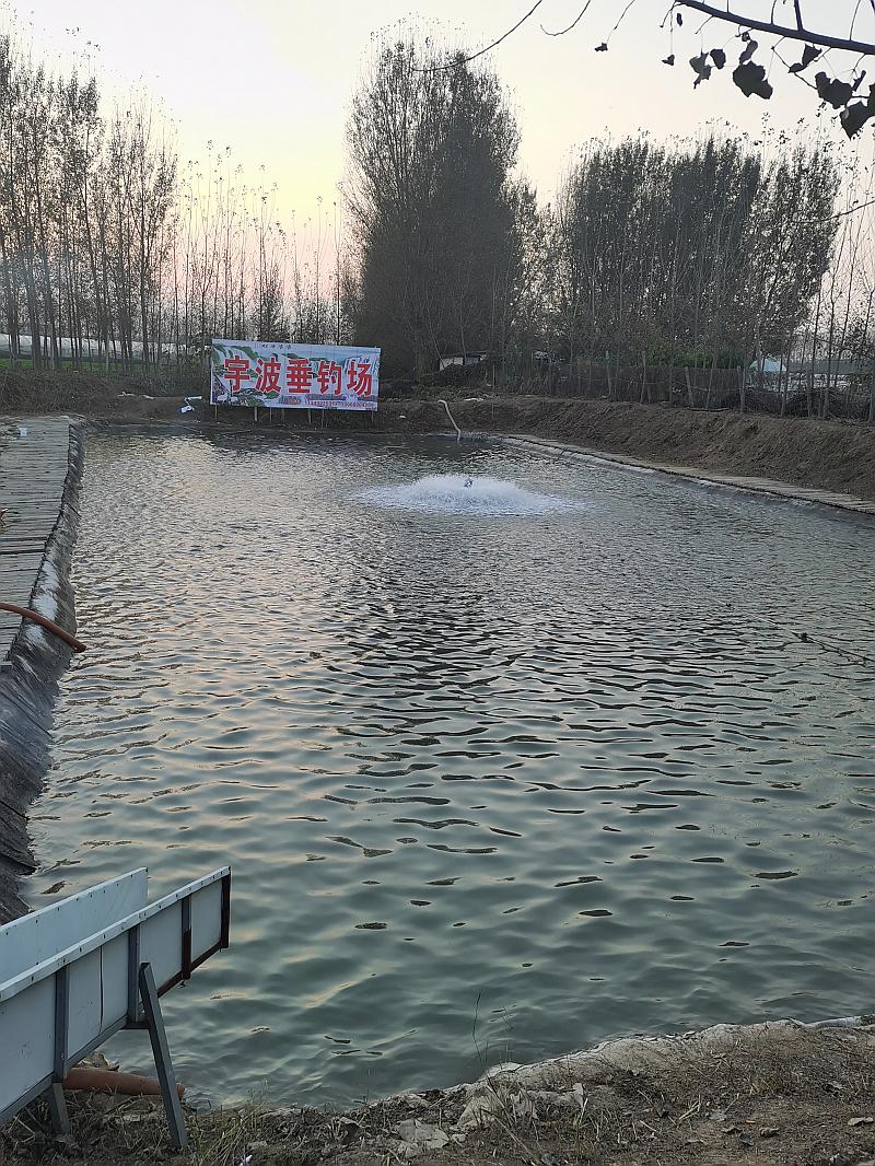 鱼情介绍图片