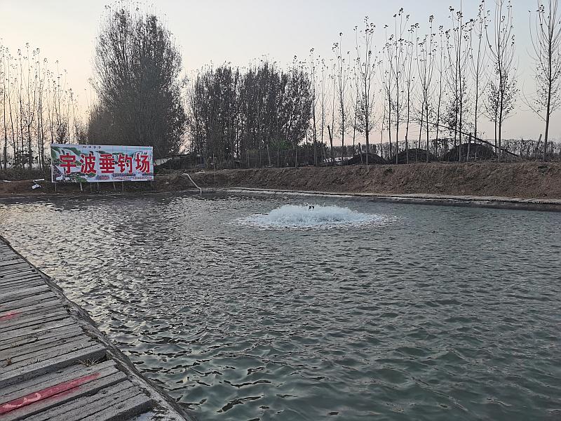 鱼情介绍图片