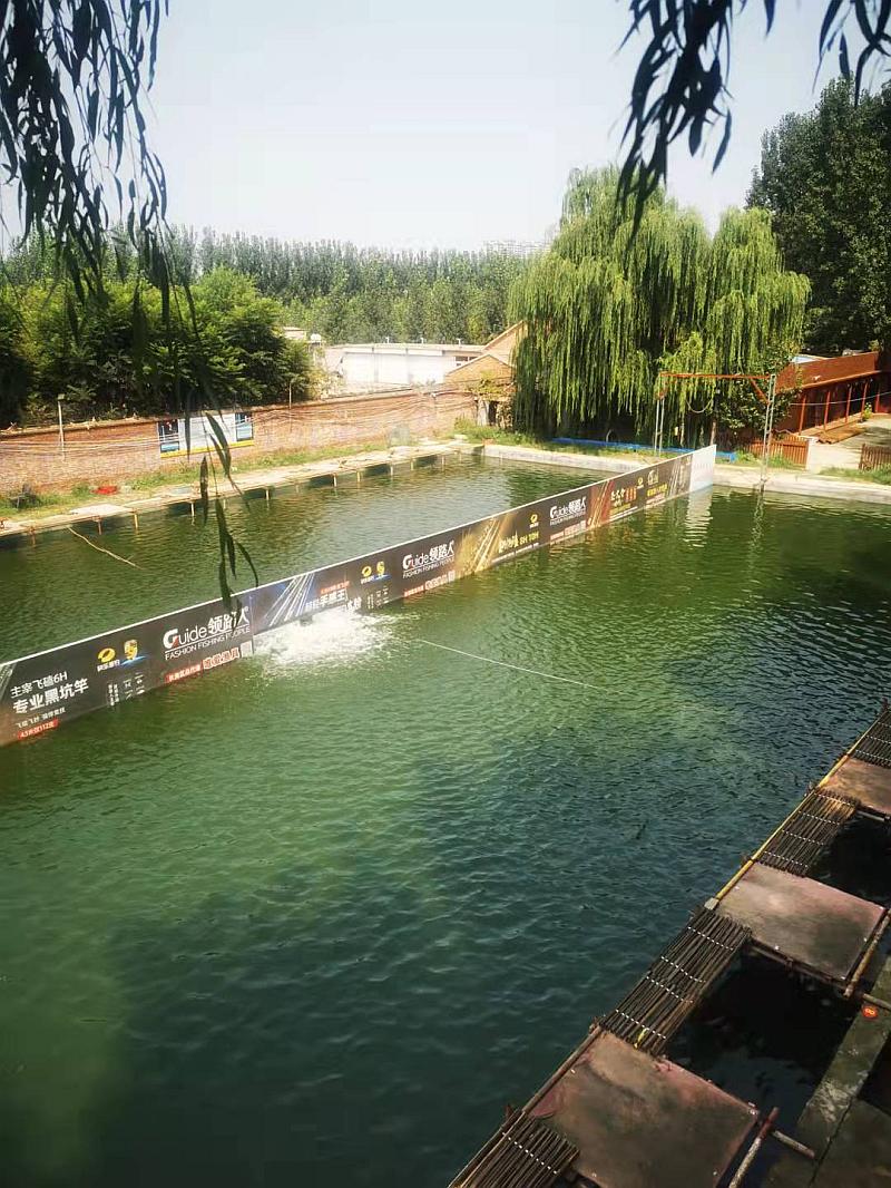 鱼情介绍图片
