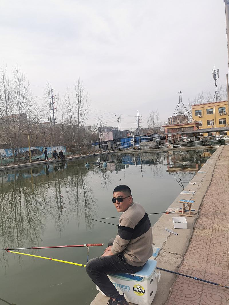 鱼情介绍图片