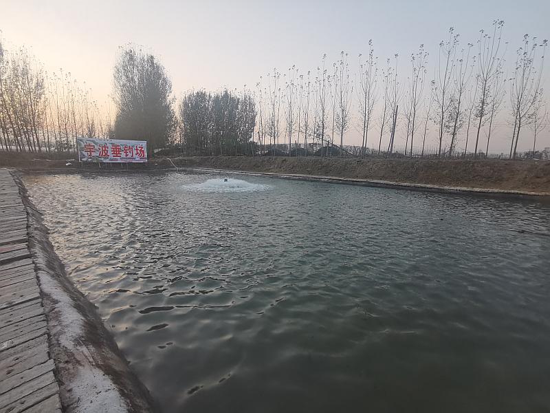 鱼情介绍图片