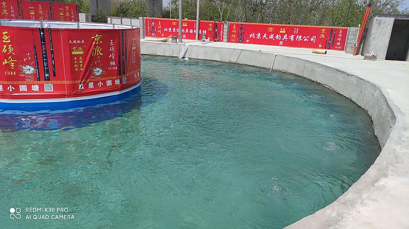 鱼情介绍图片