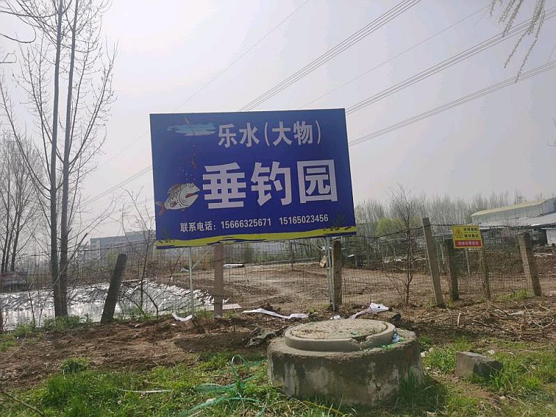 鱼情介绍图片