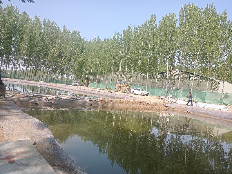 鱼情介绍图片