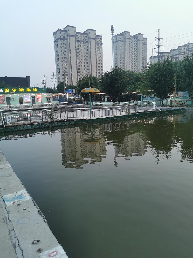 鱼情介绍图片
