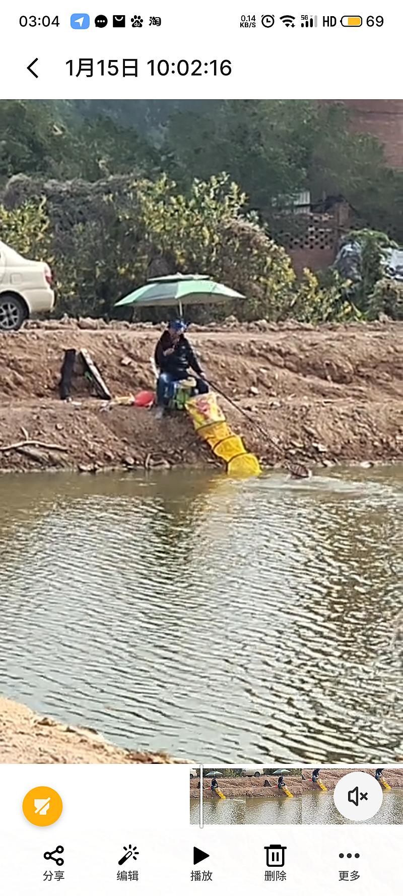 鱼情介绍图片
