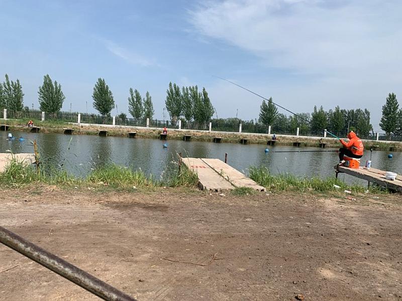 鱼情介绍图片