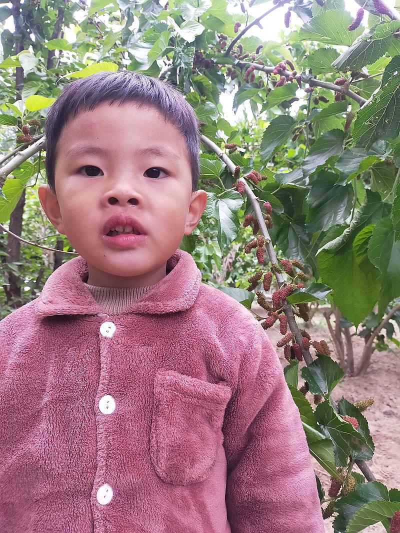 鱼情介绍图片