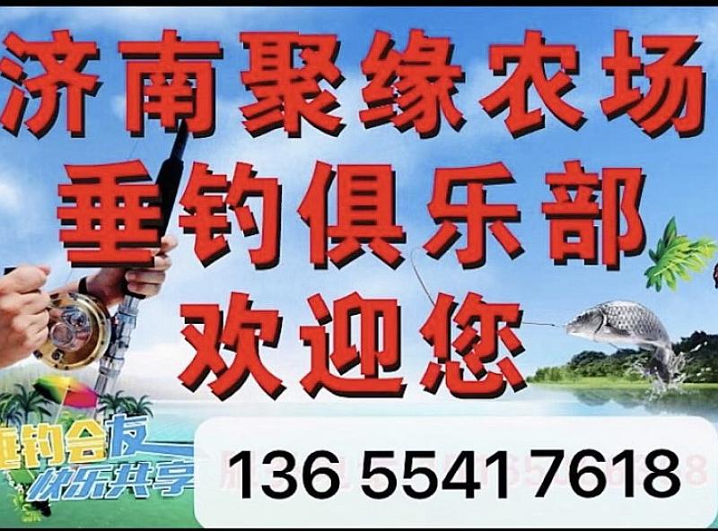 鱼情介绍图片