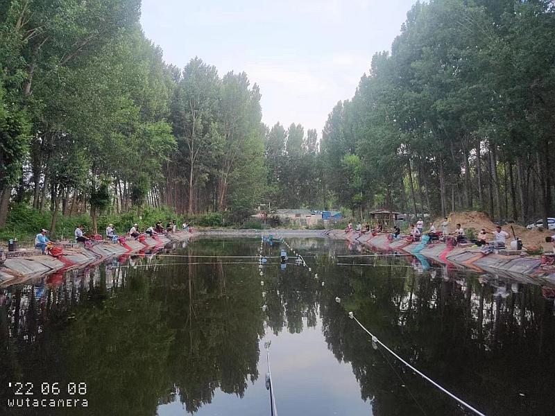 鱼情介绍图片