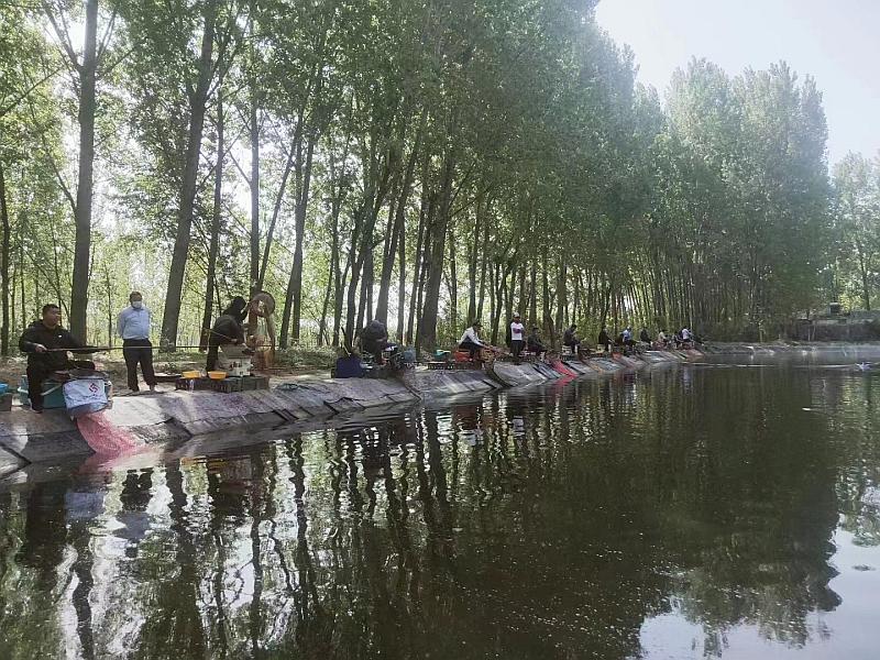 鱼情介绍图片