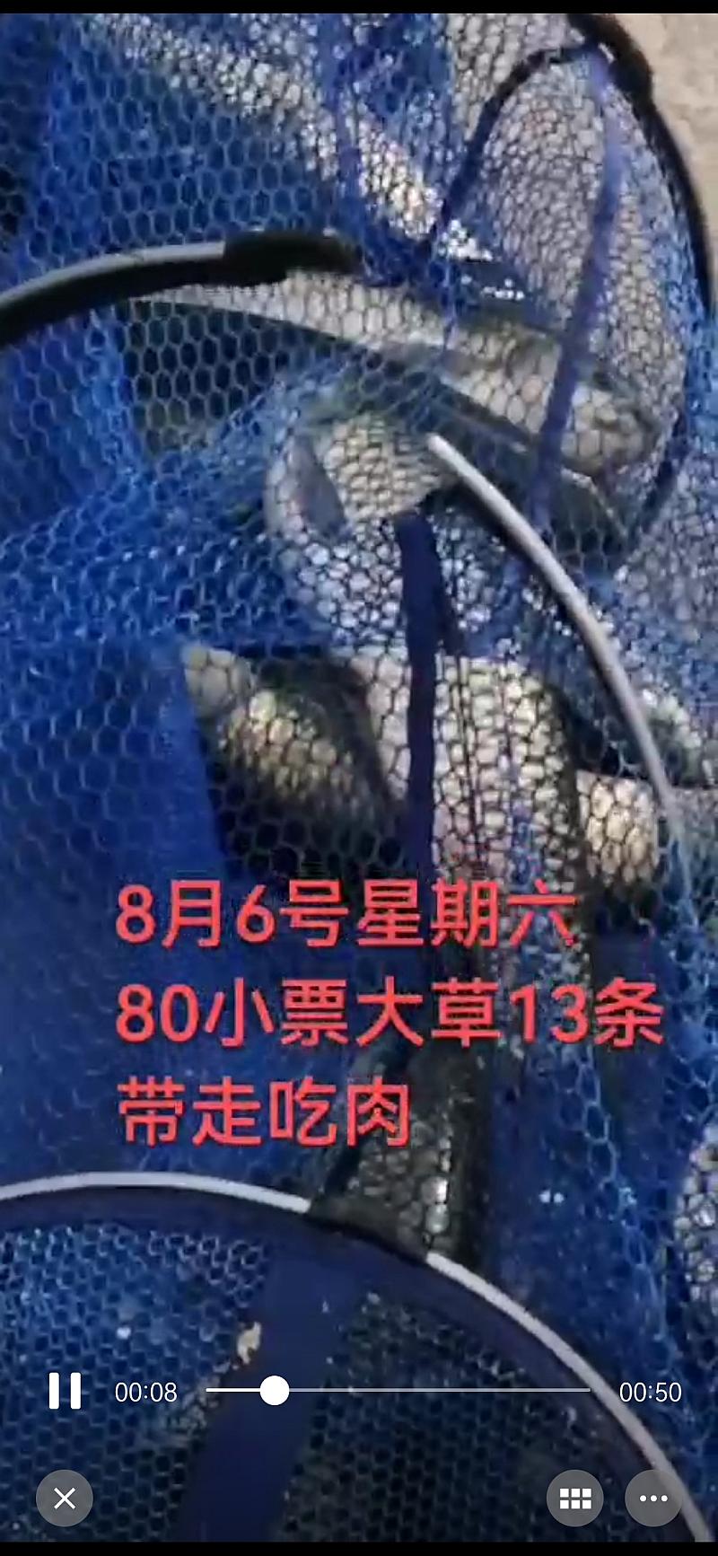 鱼情介绍图片