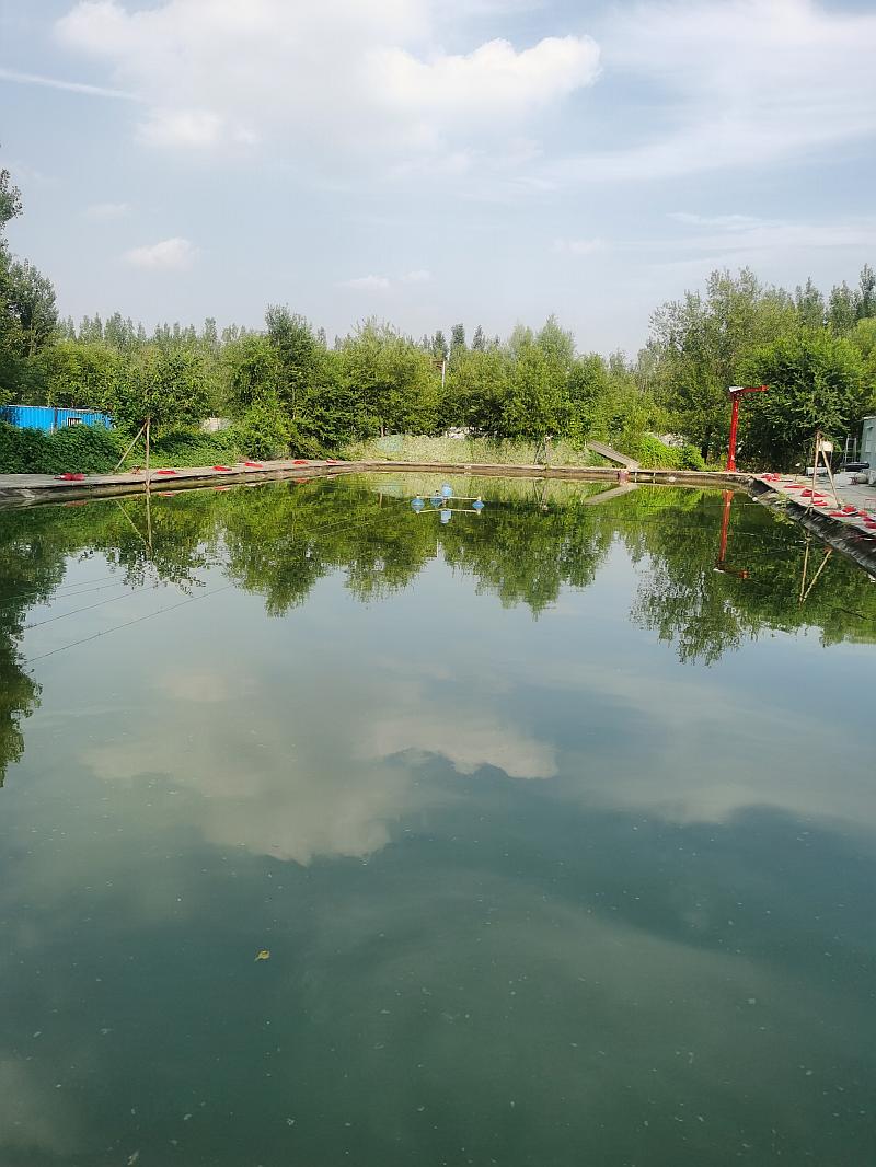 鱼情介绍图片