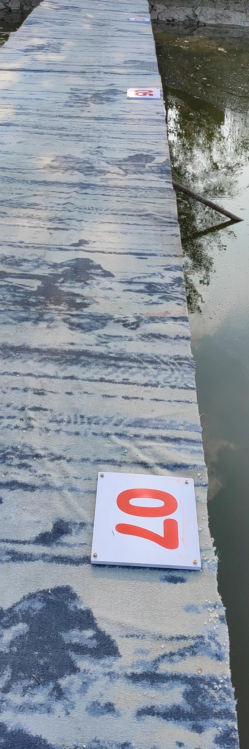 鱼情介绍图片
