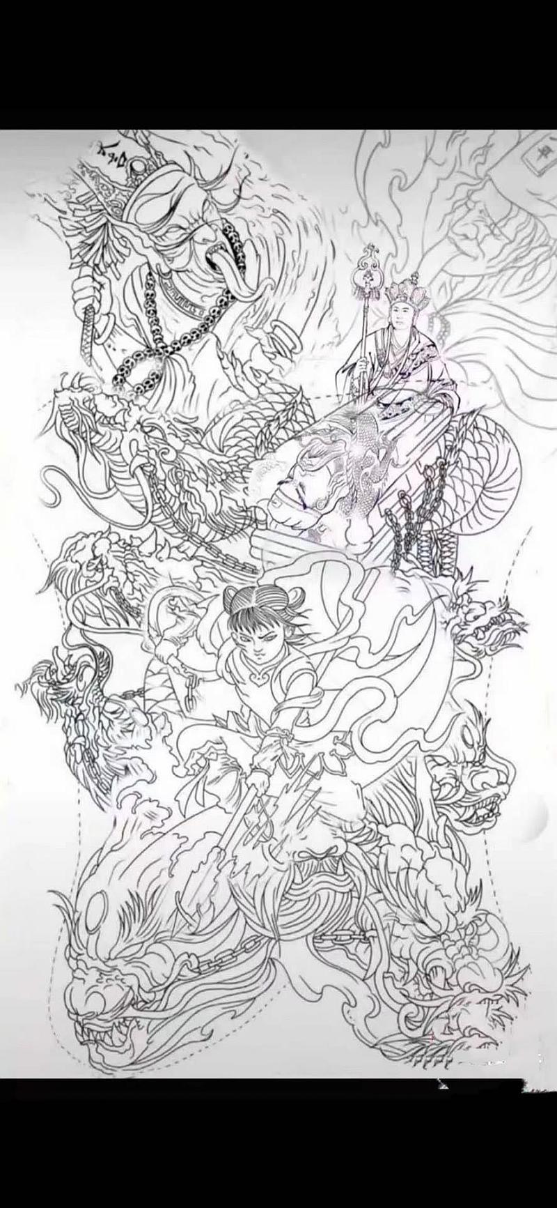 鱼情介绍图片
