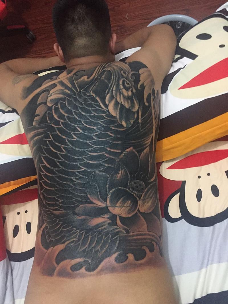 鱼情介绍图片