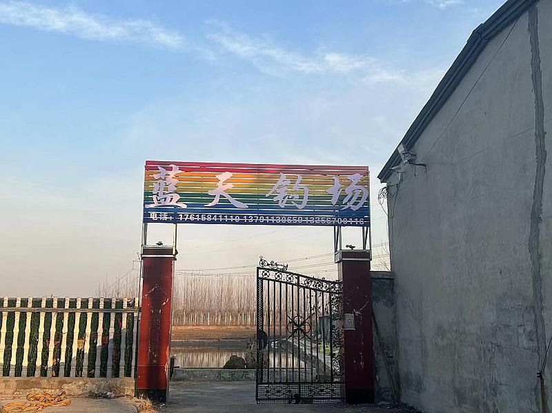 鱼情介绍图片
