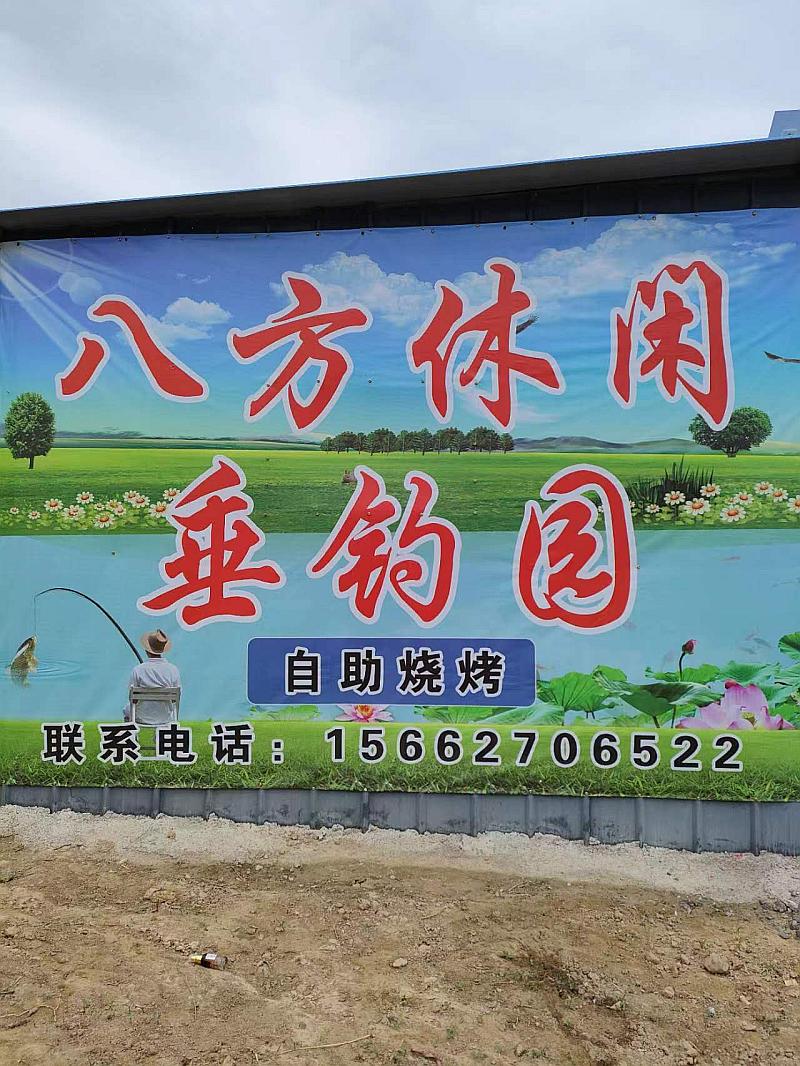 鱼情介绍图片