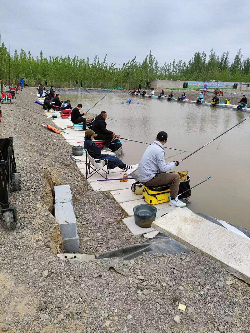 鱼情介绍图片