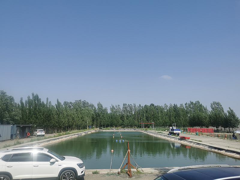 鱼情介绍图片