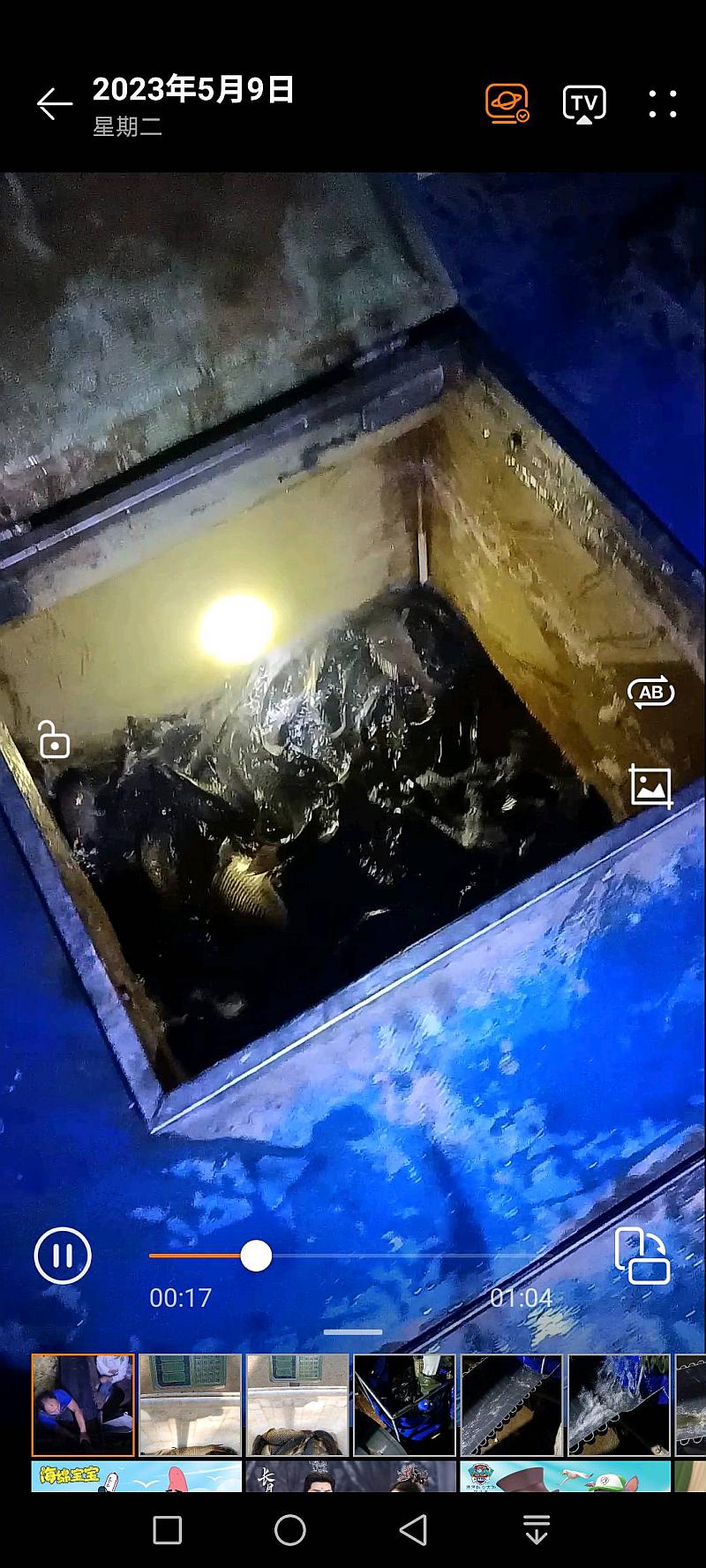 鱼情介绍图片