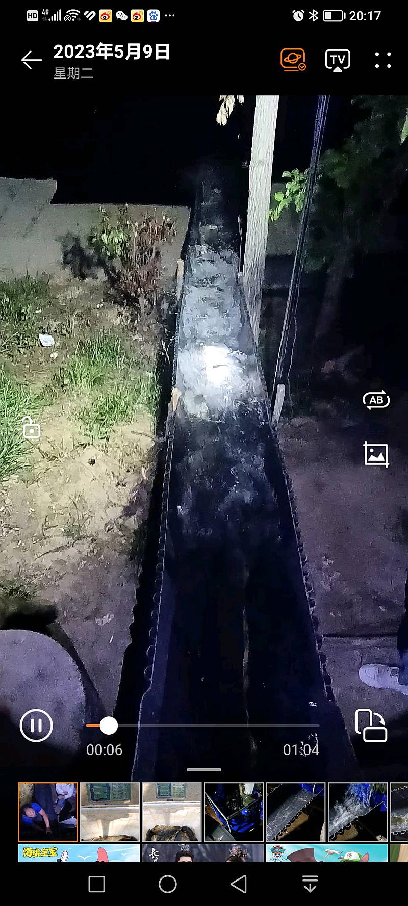 鱼情介绍图片