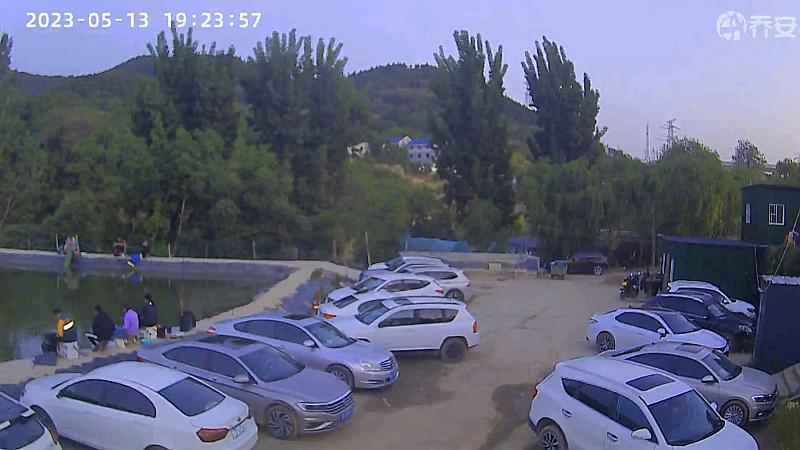 鱼情介绍图片