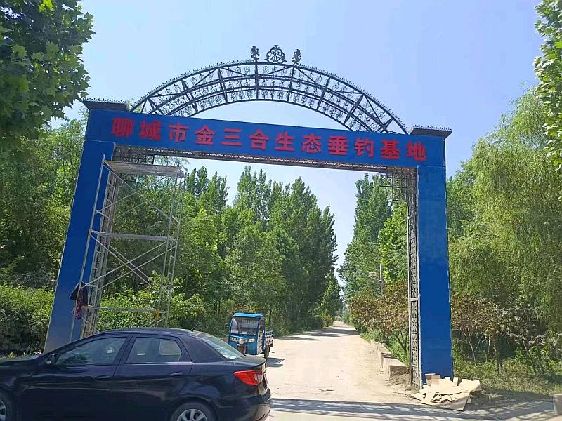 鱼情介绍图片