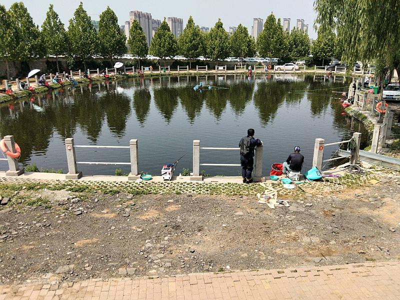 鱼情介绍图片