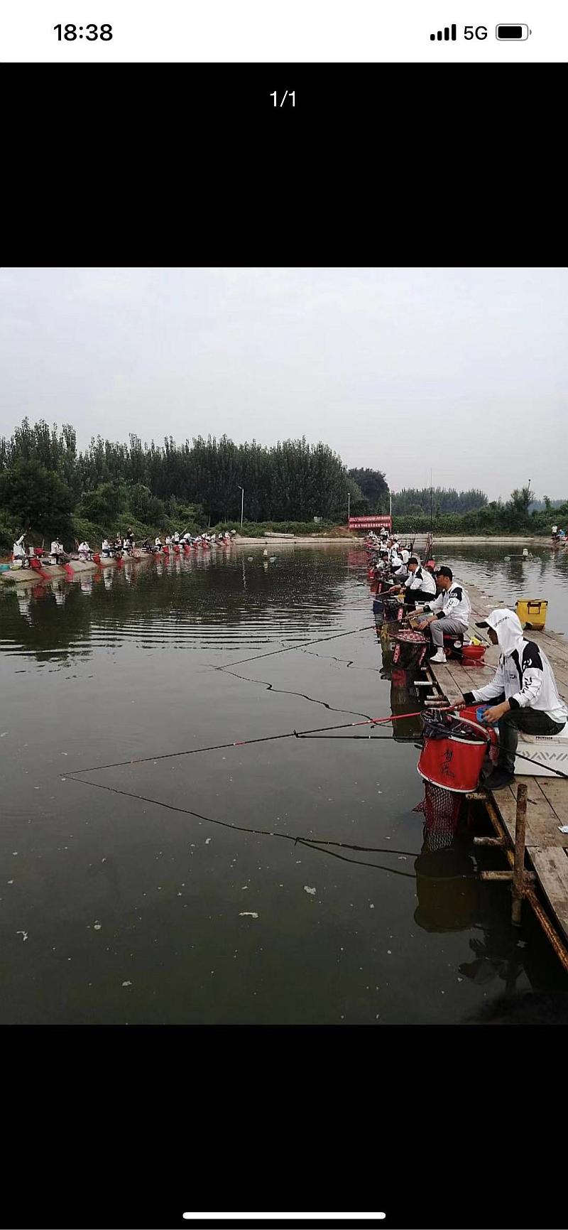 鱼情介绍图片