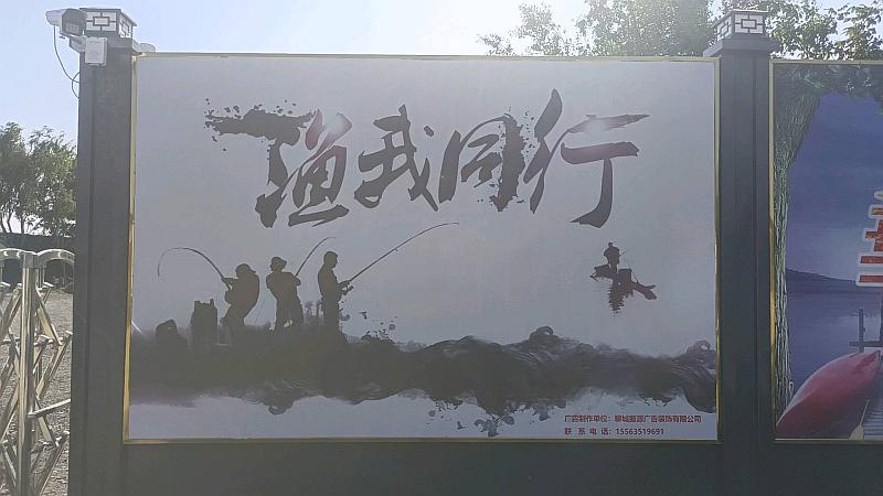 鱼情介绍图片