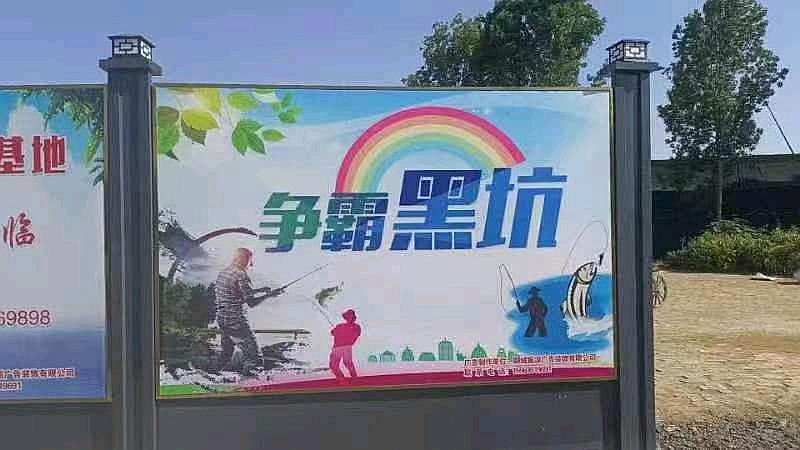 鱼情介绍图片