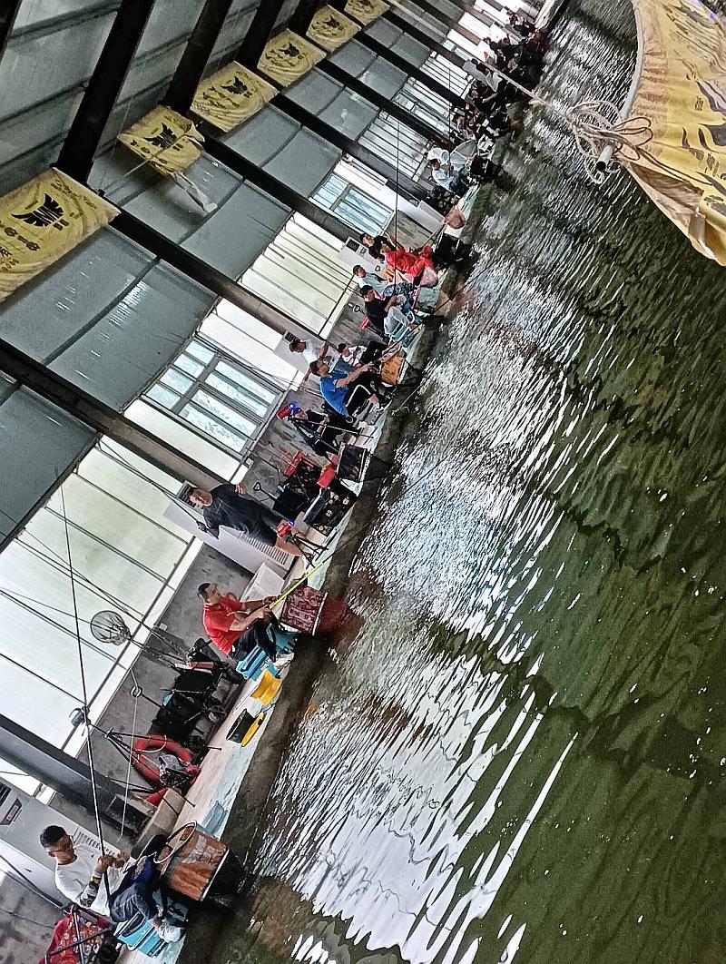 鱼情介绍图片