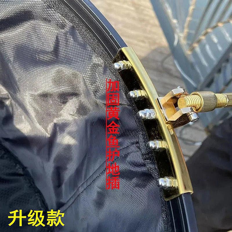 鱼情介绍图片