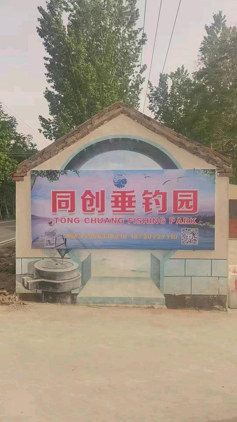 鱼情介绍图片
