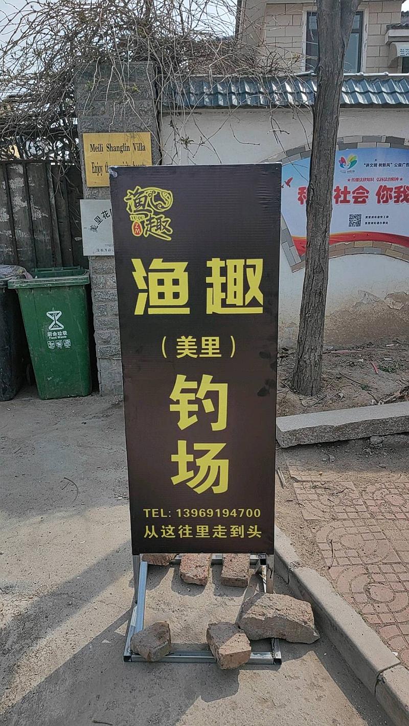 鱼情介绍图片
