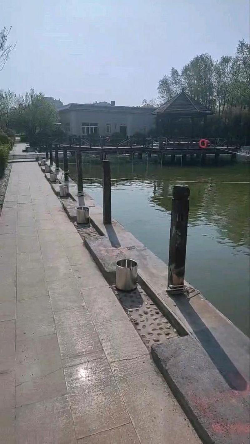 鱼情介绍图片