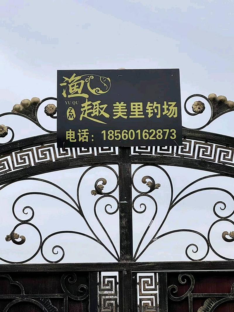 鱼情介绍图片