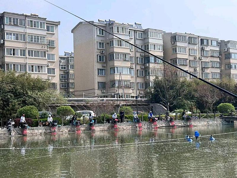 鱼情介绍图片