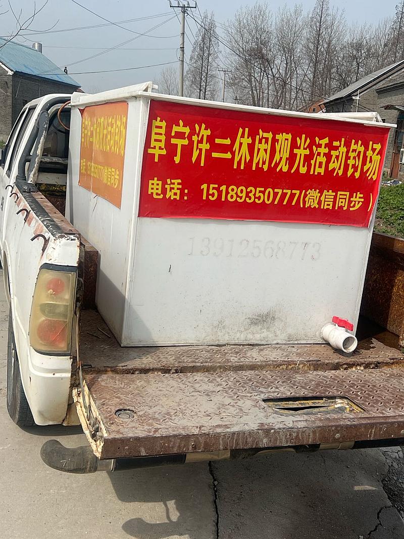 鱼情介绍图片