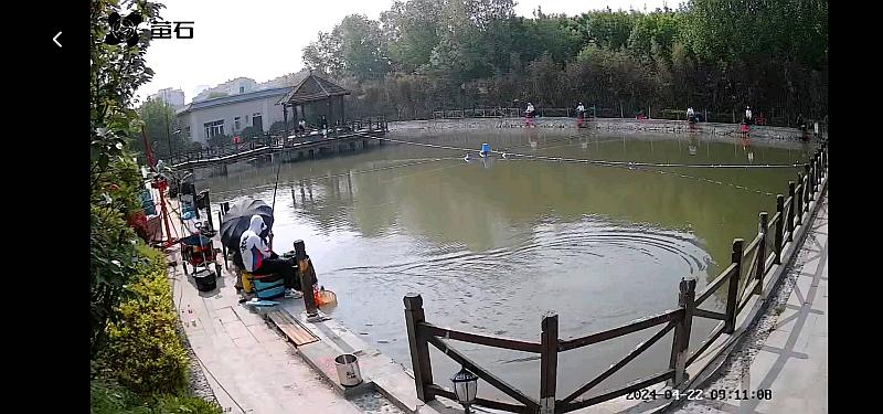 鱼情介绍图片